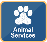 Animal Services