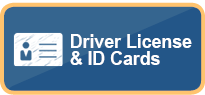 Driver License & ID Cards