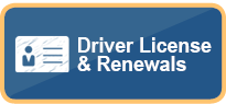 Driver License & Renewals