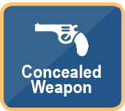 Concealed Weapon