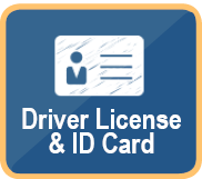 Driver License & ID Card