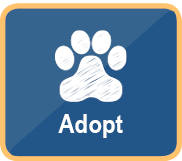 Adopt