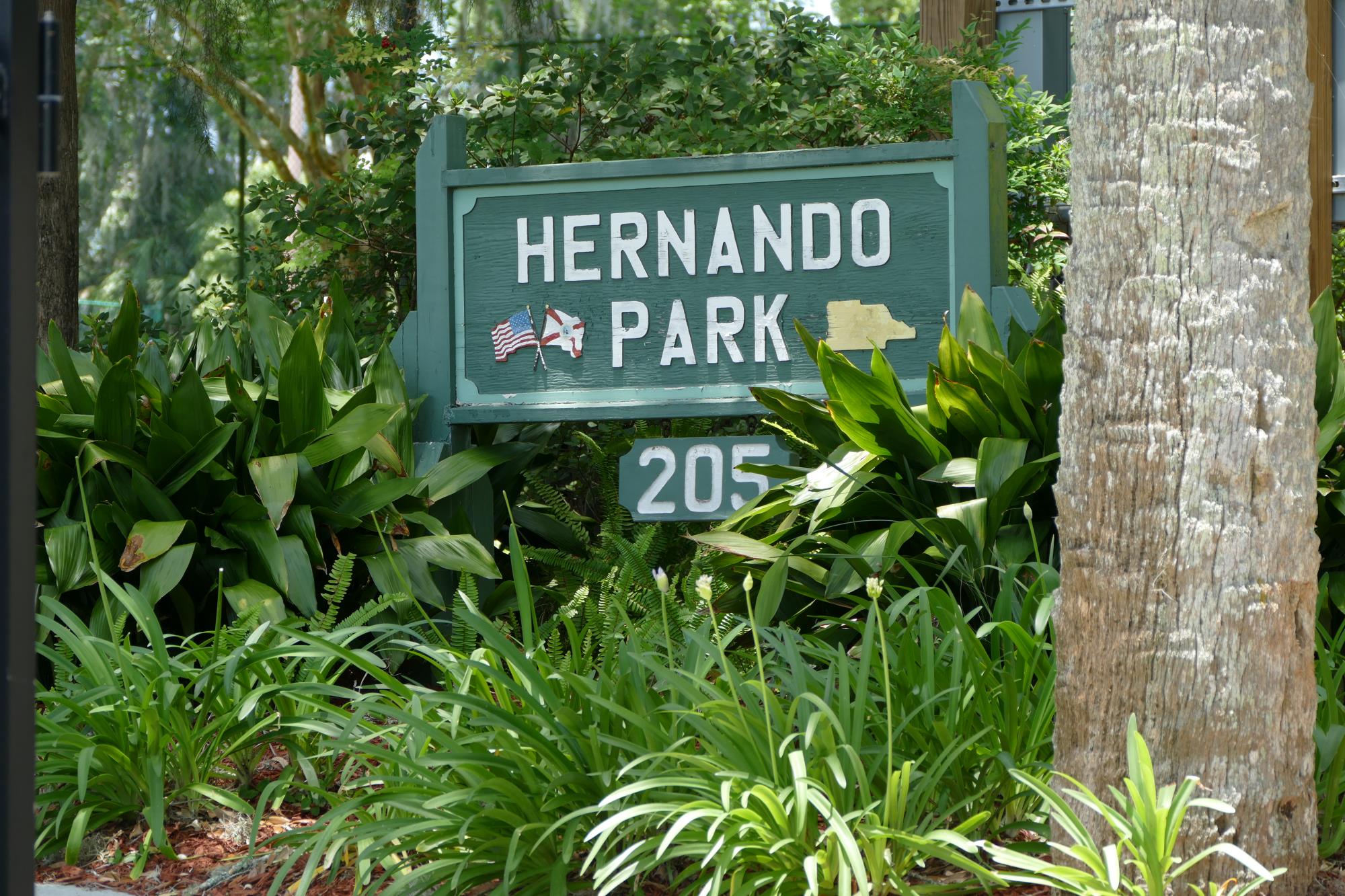 Hernando Park