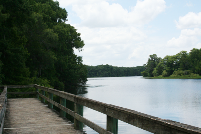 Lake Townsen Preserve