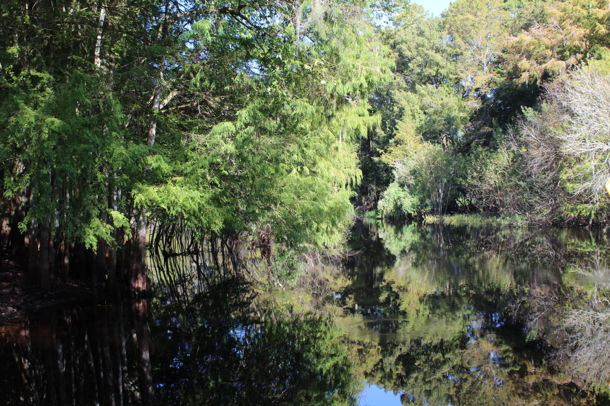 Nobleton Wayside Park - Withlacoochee River