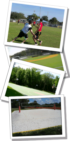 collage of sports field photos