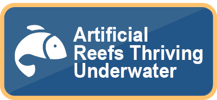 Artificial Reefs Thriving Underwater