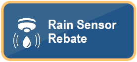 Rain Sensor Rebate Button for Website